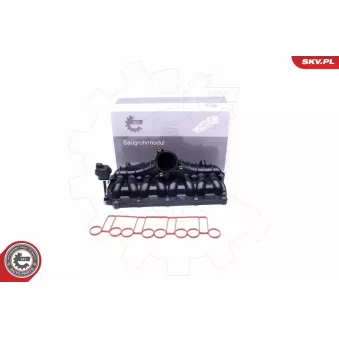 Module de tube d'admission ESEN SKV 49SKV036