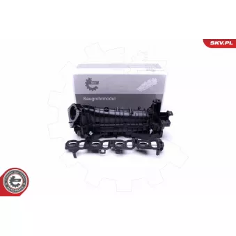 Module de tube d'admission ESEN SKV 49SKV037