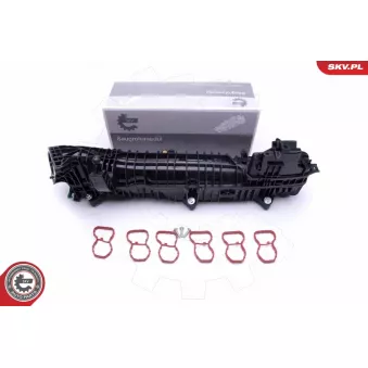 Module de tube d'admission ESEN SKV 49SKV039