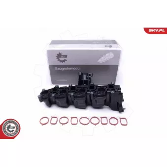 Module de tube d'admission ESEN SKV 49SKV040