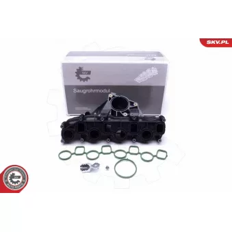 Module de tube d'admission ESEN SKV 49SKV041