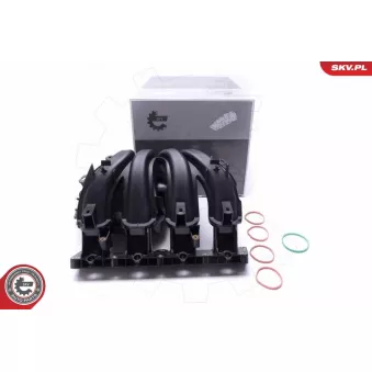 Module de tube d'admission ESEN SKV 49SKV042