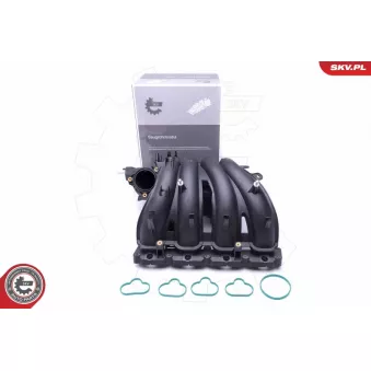 Module de tube d'admission ESEN SKV 49SKV043