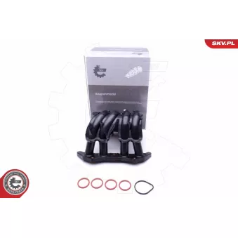 Module de tube d'admission ESEN SKV 49SKV044