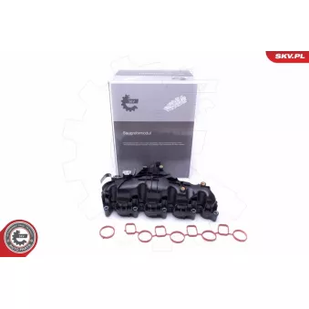 Module de tube d'admission ESEN SKV 49SKV047