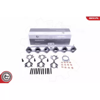 Collecteur, système d'échappement ESEN SKV 49SKV053