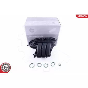 Module de tube d'admission ESEN SKV 49SKV056