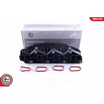 Module de tube d'admission ESEN SKV 49SKV057