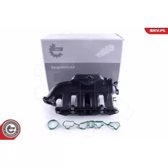 Collecteur d'admission ESEN SKV 49SKV058