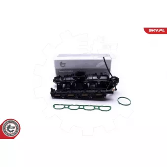 Module de tube d'admission ESEN SKV 49SKV059