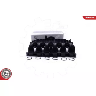 Module de tube d'admission ESEN SKV 49SKV064