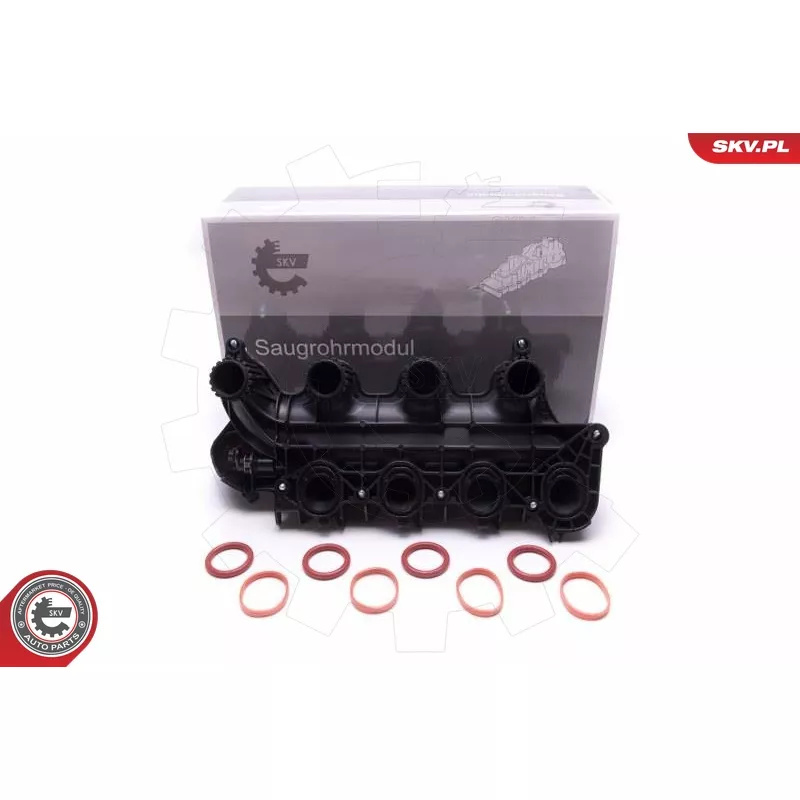 Module de tube d'admission ESEN SKV 49SKV065