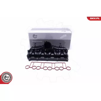 Module de tube d'admission ESEN SKV 49SKV066