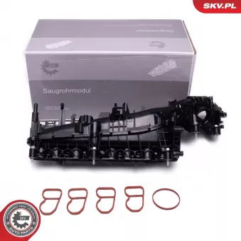 Module de tube d'admission ESEN SKV 49SKV078