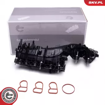 Module de tube d'admission ESEN SKV 49SKV079