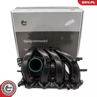 Module de tube d'admission ESEN SKV 49SKV087