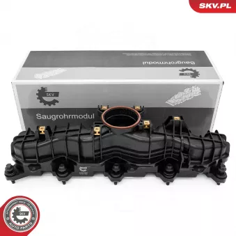 Module de tube d'admission ESEN SKV 49SKV089