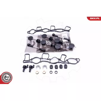 Kit de réparation, module de tube d'aspiration ESEN SKV 49SKV500