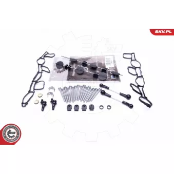 Kit de réparation, module de tube d'aspiration ESEN SKV 49SKV501