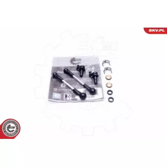 Kit de réparation, module de tube d'aspiration ESEN SKV 49SKV502