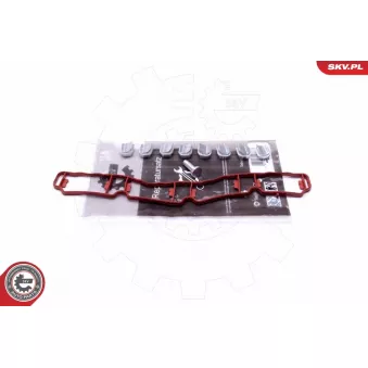 Kit de réparation, module de tube d'aspiration ESEN SKV 49SKV510