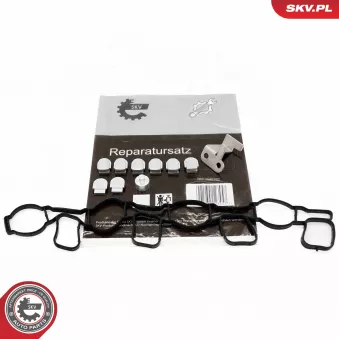 Kit de réparation, module de tube d'aspiration ESEN SKV 49SKV511