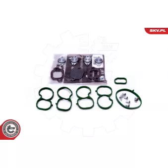 Kit de réparation, module de tube d'aspiration ESEN SKV 49SKV512