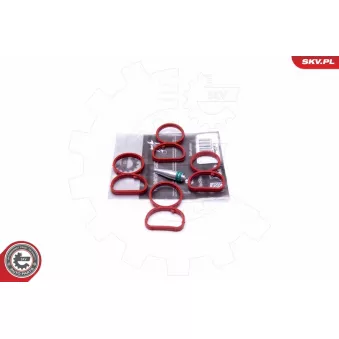 Kit de réparation, module de tube d'aspiration ESEN SKV 49SKV513