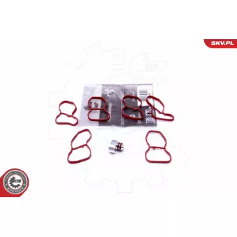 Kit de réparation, module de tube d'aspiration ESEN SKV 49SKV516