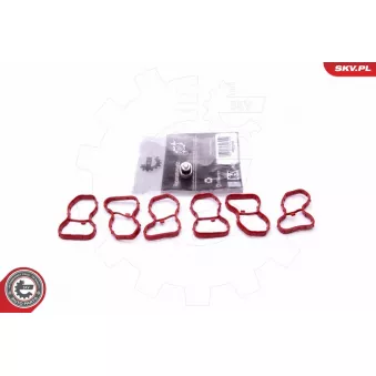 Kit de réparation, module de tube d'aspiration ESEN SKV 49SKV522