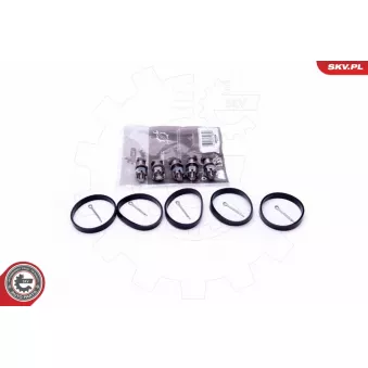 Kit de réparation, module de tube d'aspiration ESEN SKV 49SKV524