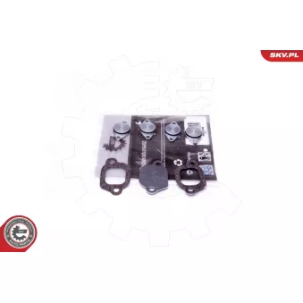 Kit de réparation, module de tube d'aspiration ESEN SKV 49SKV529