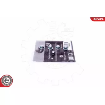 Kit de réparation, module de tube d'aspiration ESEN SKV 49SKV530