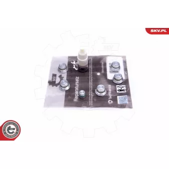 Kit de réparation, module de tube d'aspiration ESEN SKV 49SKV533