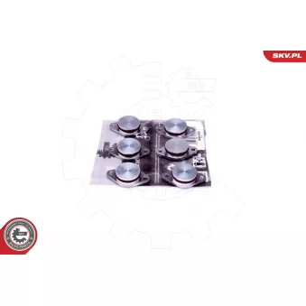 Kit de réparation, module de tube d'aspiration ESEN SKV 49SKV542