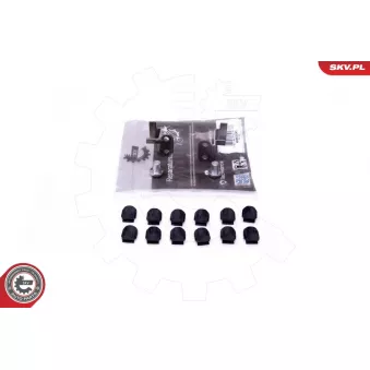 Kit de réparation, module de tube d'aspiration ESEN SKV 49SKV543