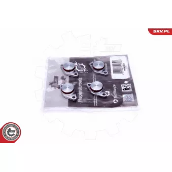 Kit de réparation, module de tube d'aspiration ESEN SKV 49SKV544