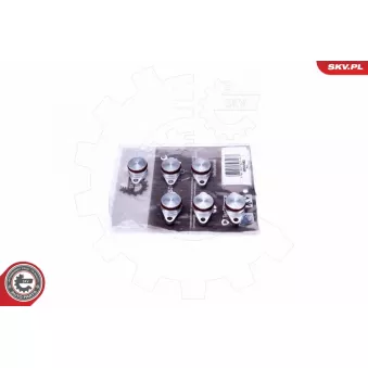 Kit de réparation, module de tube d'aspiration ESEN SKV 49SKV545