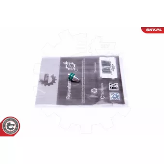 Kit de réparation, module de tube d'aspiration ESEN SKV 49SKV546