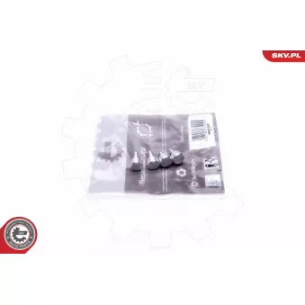 Kit de réparation, module de tube d'aspiration ESEN SKV 49SKV547