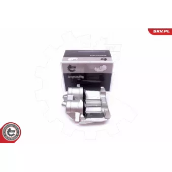 Étrier de frein arrière gauche ESEN SKV 50SKV173