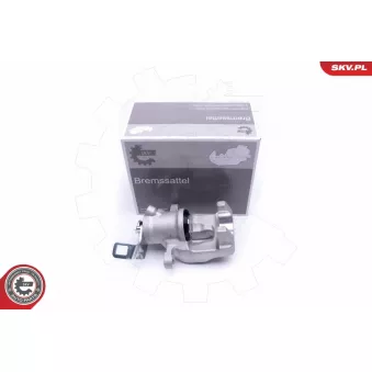 Étrier de frein arrière gauche ESEN SKV 50SKV293