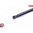 Vérin, capot-moteur ESEN SKV 52SKV005 - Visuel 3