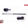Vérin, capot-moteur ESEN SKV 52SKV015 - Visuel 1