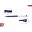 Vérin, capot-moteur ESEN SKV 52SKV042 - Visuel 1