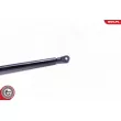 Vérin, capot-moteur ESEN SKV 52SKV058 - Visuel 3