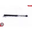 Vérin, capot-moteur ESEN SKV 52SKV061 - Visuel 1