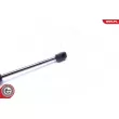 Vérin, capot-moteur ESEN SKV 52SKV065 - Visuel 2