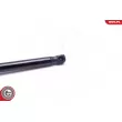 Vérin, capot-moteur ESEN SKV 52SKV069 - Visuel 3