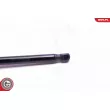 Vérin, capot-moteur ESEN SKV 52SKV077 - Visuel 3